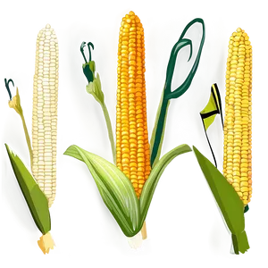 Mexican Corn Maize Png 65 PNG image