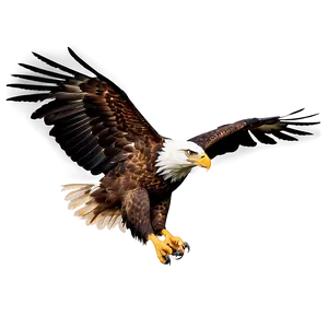 Mexican Eagle In Flight Png 31 PNG image