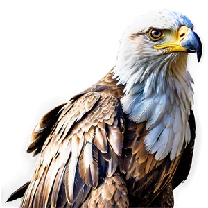 Mexican Eagle In Sunset PNG 06132024