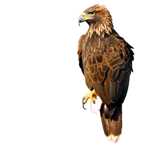 Mexican Eagle In Sunset PNG 28
