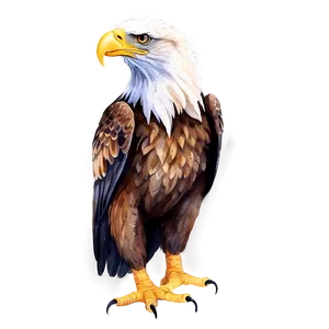 Mexican Eagle Watercolor Png 36 PNG image