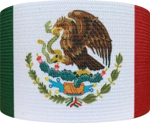 Mexican Flag Embroidery PNG image
