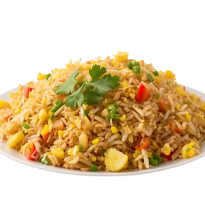 Mexican Fried Rice PNG 49