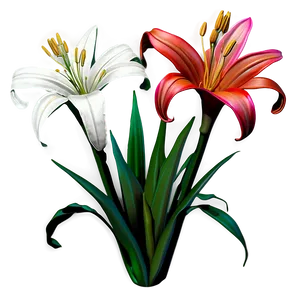 Mexican Lily Flowers PNG Pcw1 PNG