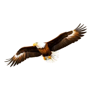 Mexico Eagle Wing Spread Png 76 PNG image