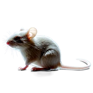 Mice D PNG image