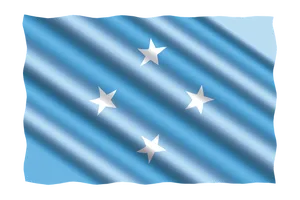 Micronesian Flag Wavy Texture PNG image