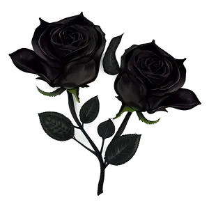 Midnight Black Roses Png 61 PNG image