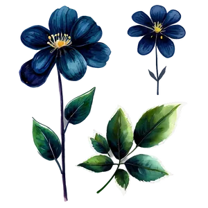 Midnight Watercolor Flower PNG Aym PNG