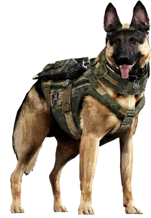 Military German Shepherdin Tactical Gear PNG image