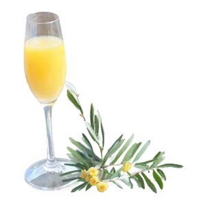 Mimosa Without Alcohol Png 88 PNG image