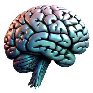 Mind Blossom Brain Emoji PNG 06132024 PNG