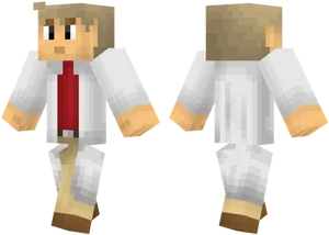 Minecraft Character Model Professor Look