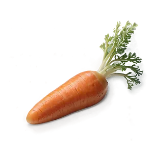 Mini Carrots PNG 06132024 PNG