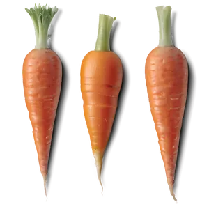 Mini Carrots PNG 06132024 PNG