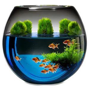 Mini Fishbowl PNG 06212024