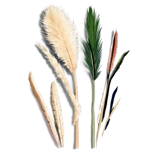 Mini Pampas Bunches Png 43 PNG image