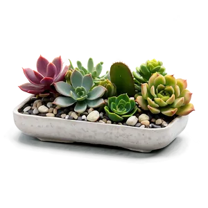 Mini Succulent Garden Png 06212024 PNG image