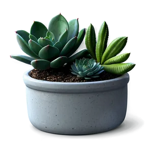 Mini Succulent Garden Png 06212024 PNG image