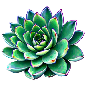 Mini Succulent Png 58 PNG image