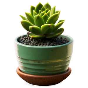 Mini Succulent Png Hlq PNG image