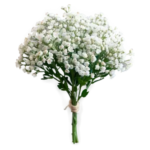 Miniature Baby's Breath Posy PNG 62