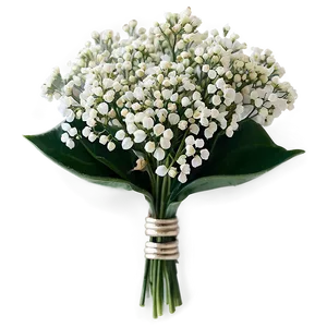 Miniature Baby's Breath Posy PNG Aqn30 PNG