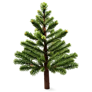 Miniature Pine Tree Png Ier38 PNG image