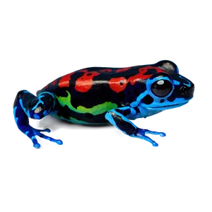 Miniature Poison Dart Frog PNG Lxq66