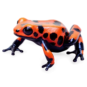Miniature Poison Dart Frog PNG Qru89