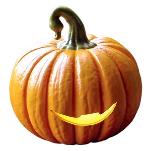 Miniature Pumpkin Collection Png 79 PNG image