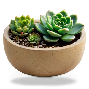 Miniature Succulent Scenes PNG Aiu92 PNG