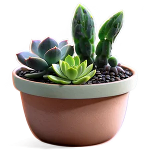 Miniature Succulent Scenes PNG Qpx PNG