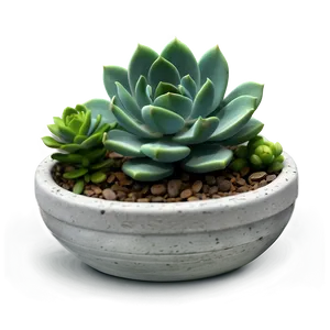 Miniature Succulent Scenes PNG Uyu71 PNG