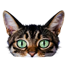 Minimal Cat Ear Icon PNG 06212024 PNG