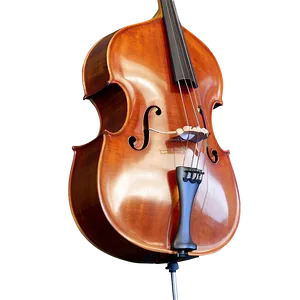 Minimal Double Bass PNG Xvf