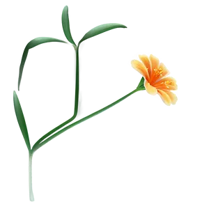 Minimal Orange Flower Png Lvh6 PNG image