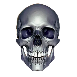 Minimal Skull Art PNG 51 PNG