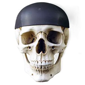 Minimal Skull Drawing PNG Bph7 PNG
