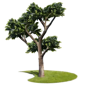 Minimal Tree Line PNG Lsf59 PNG