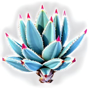 Minimalist Agave Plant PNG Wxy