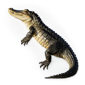 Minimalist Alligator Design PNG Vas27 PNG