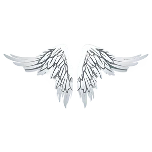 Minimalist Angel Wings Clipart Png Teu PNG image