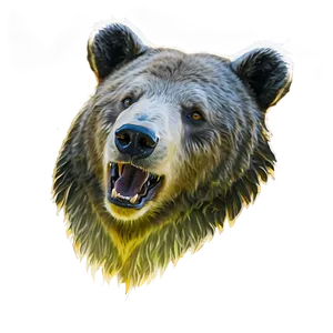 Minimalist Bear Head PNG Ccd