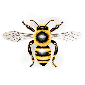 Minimalist Bee Png Pqg PNG image