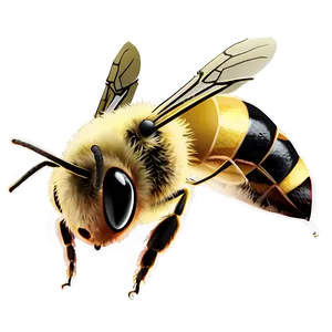 Minimalist Bee Png Qam PNG image