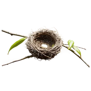 Minimalist Bird Nest PNG 06212024
