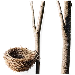 Minimalist Bird Nest PNG 66
