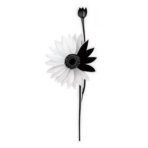 Minimalist Black And White Flower Png 05252024 PNG image