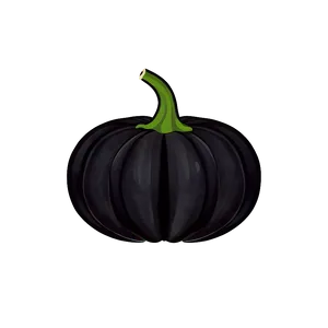 Minimalist Black Pumpkin PNG 06282024